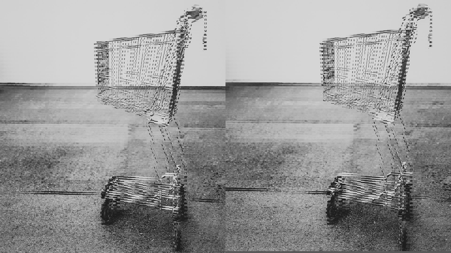 Bruno Kelzer Lvysg1hvuzi Unsplash