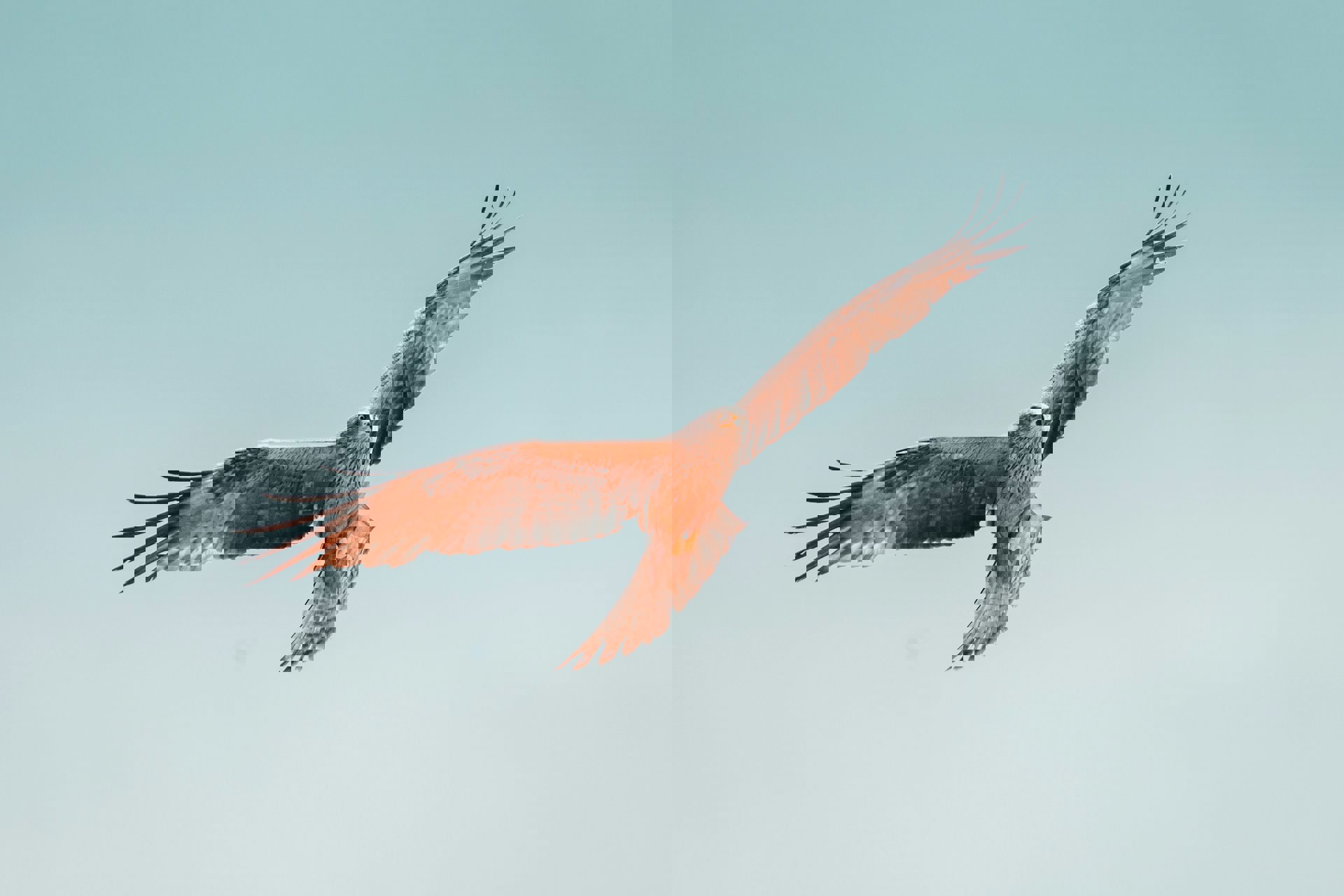 Martin Adams JM3H Hazqo0 Unsplash